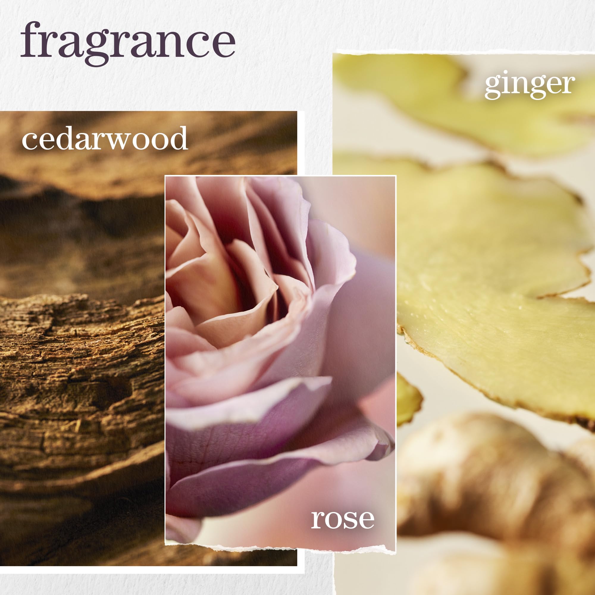 pureology Colour Fanatic Multi-Tasking Leave-in Spray